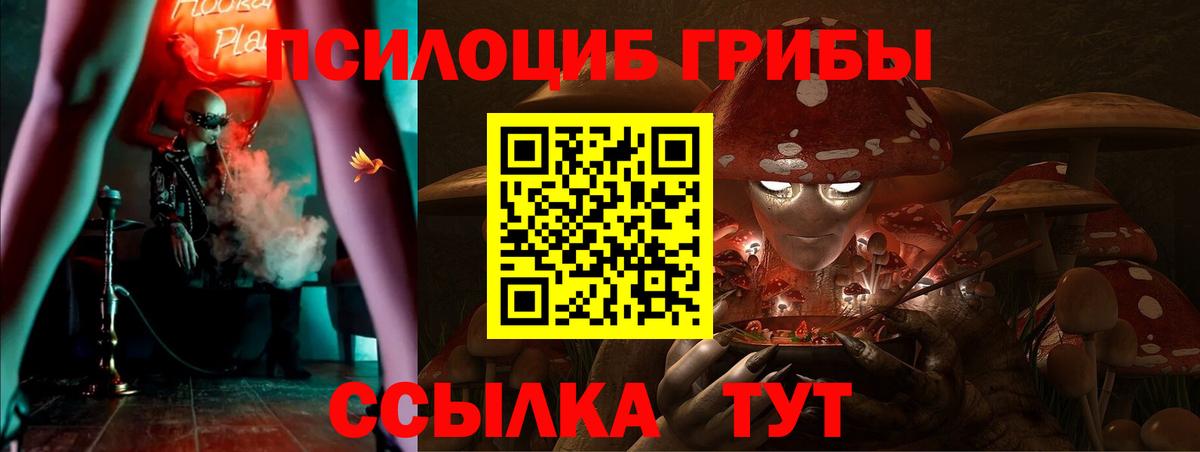 Псилоцибиновые грибы ЛСД  хочу наркоту  Вход с VPN  Кинель  Галлюциногенные грибы Magic Shrooms 